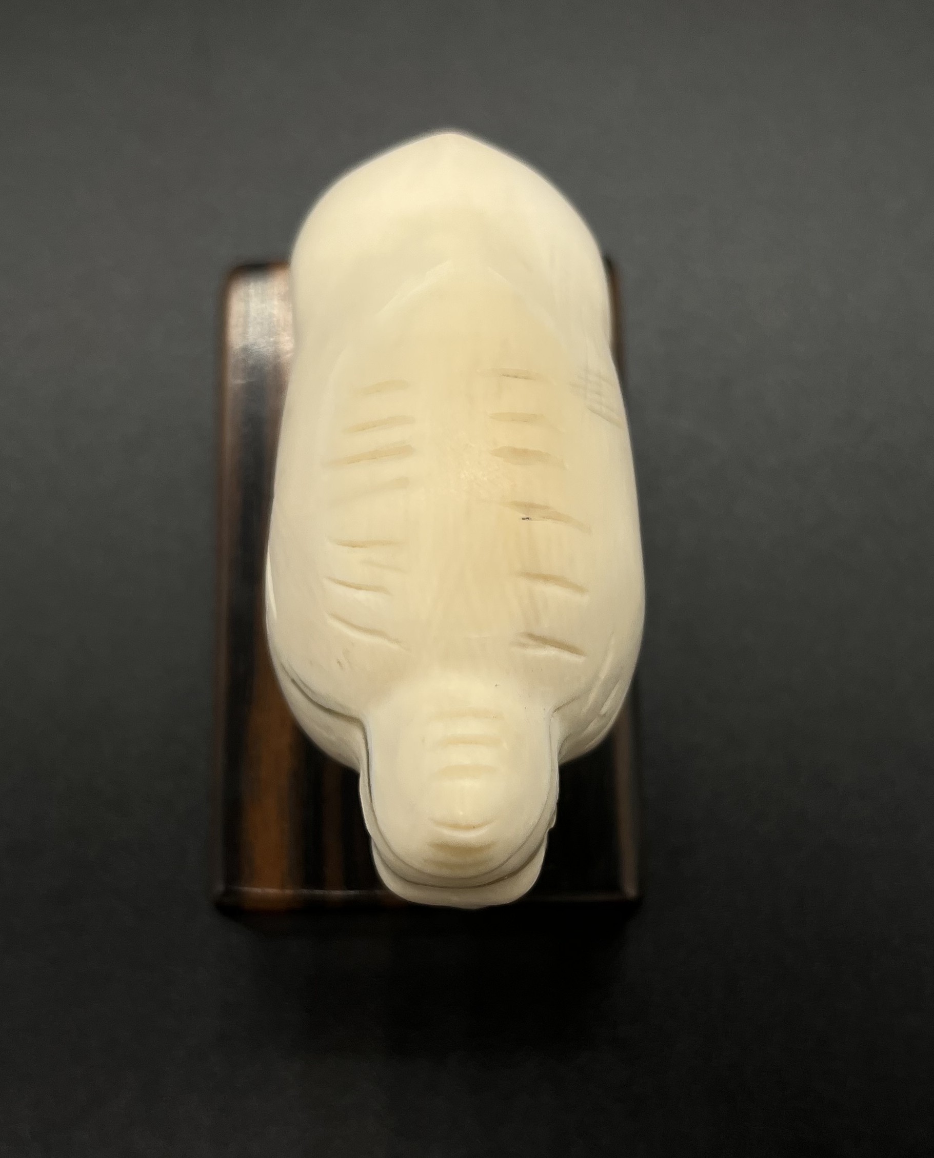 Mammut Vogelherd – Bild 3