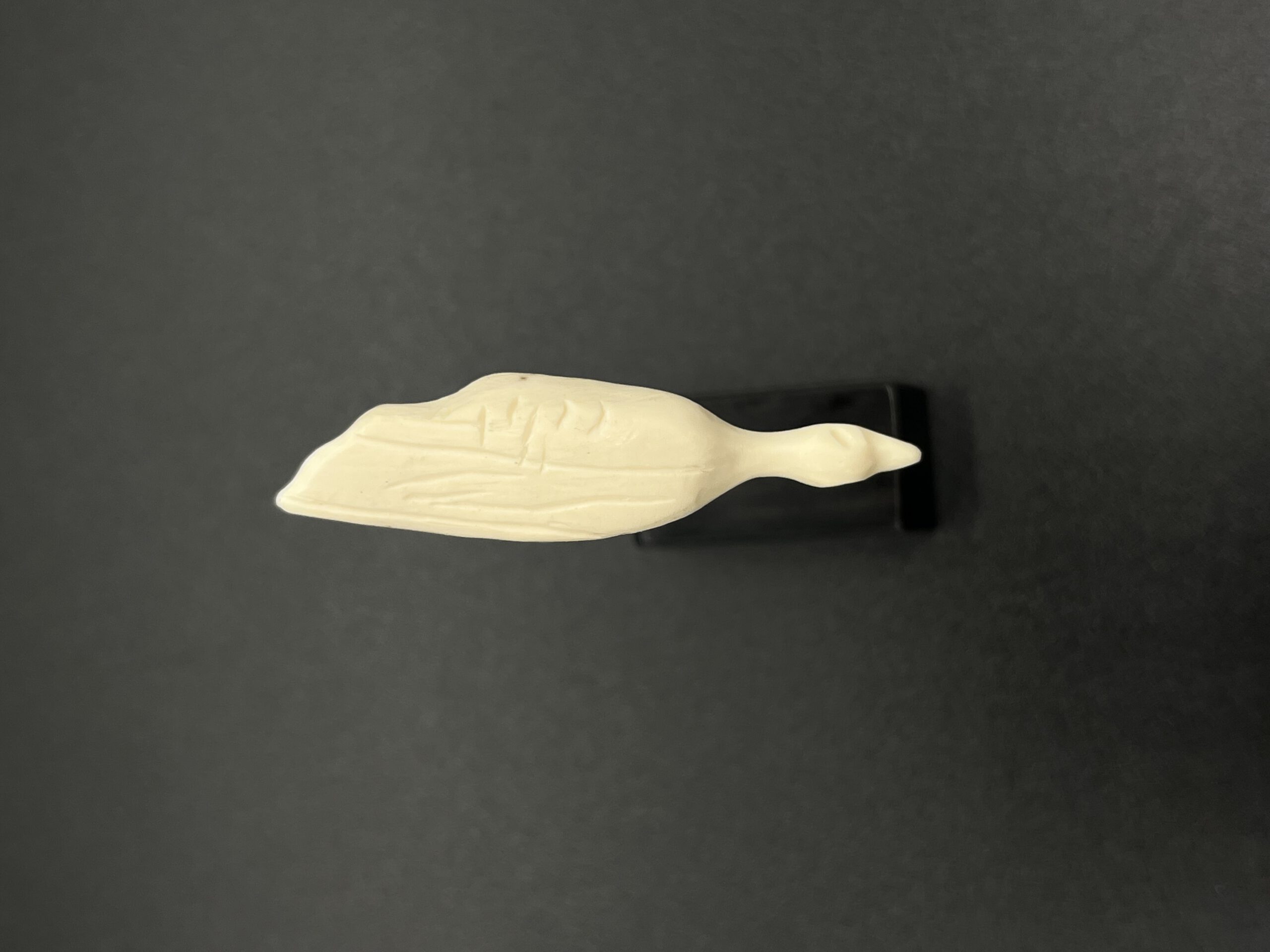 Wasservogel Hohle Fels – Bild 4