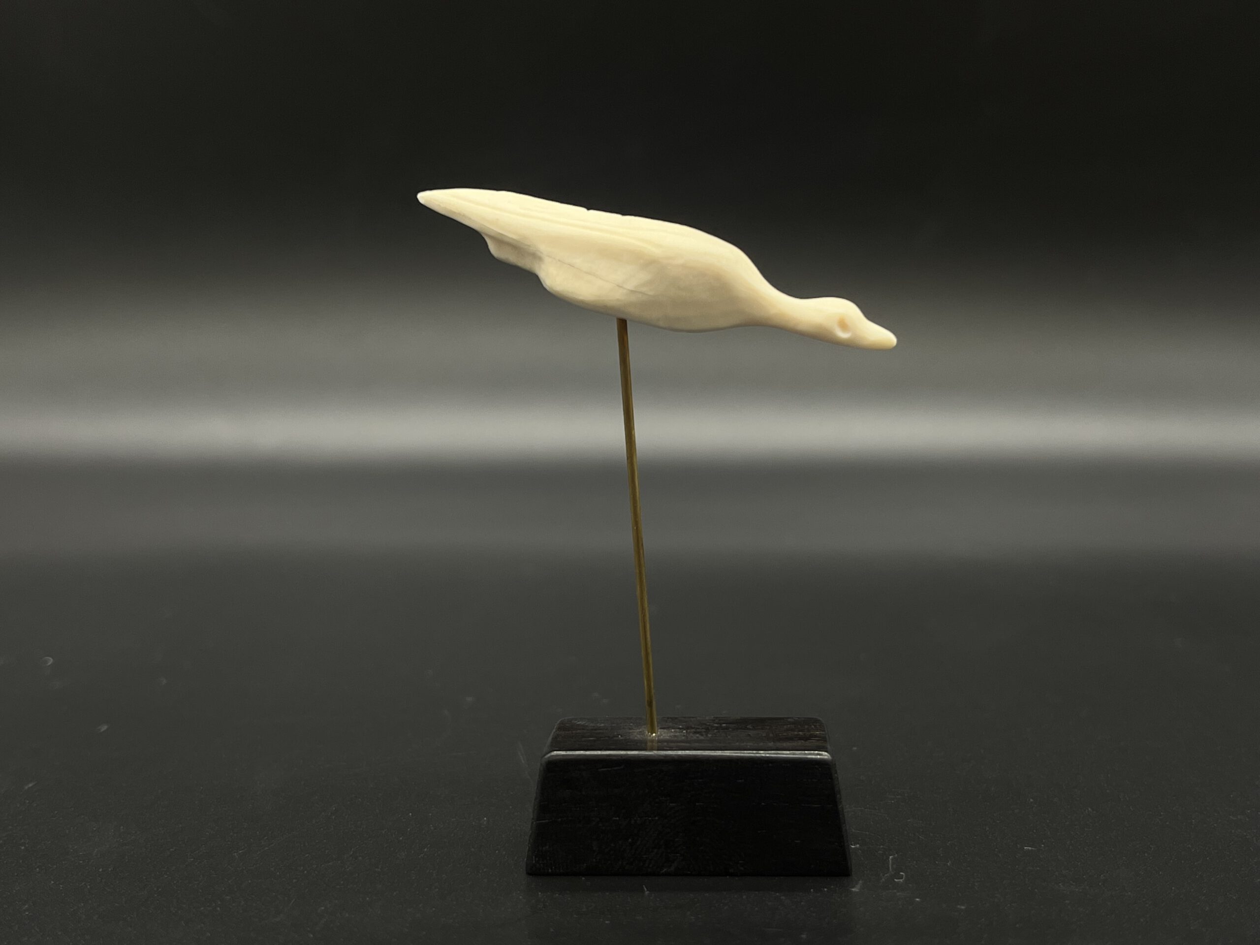 Wasservogel Hohle Fels – Bild 3