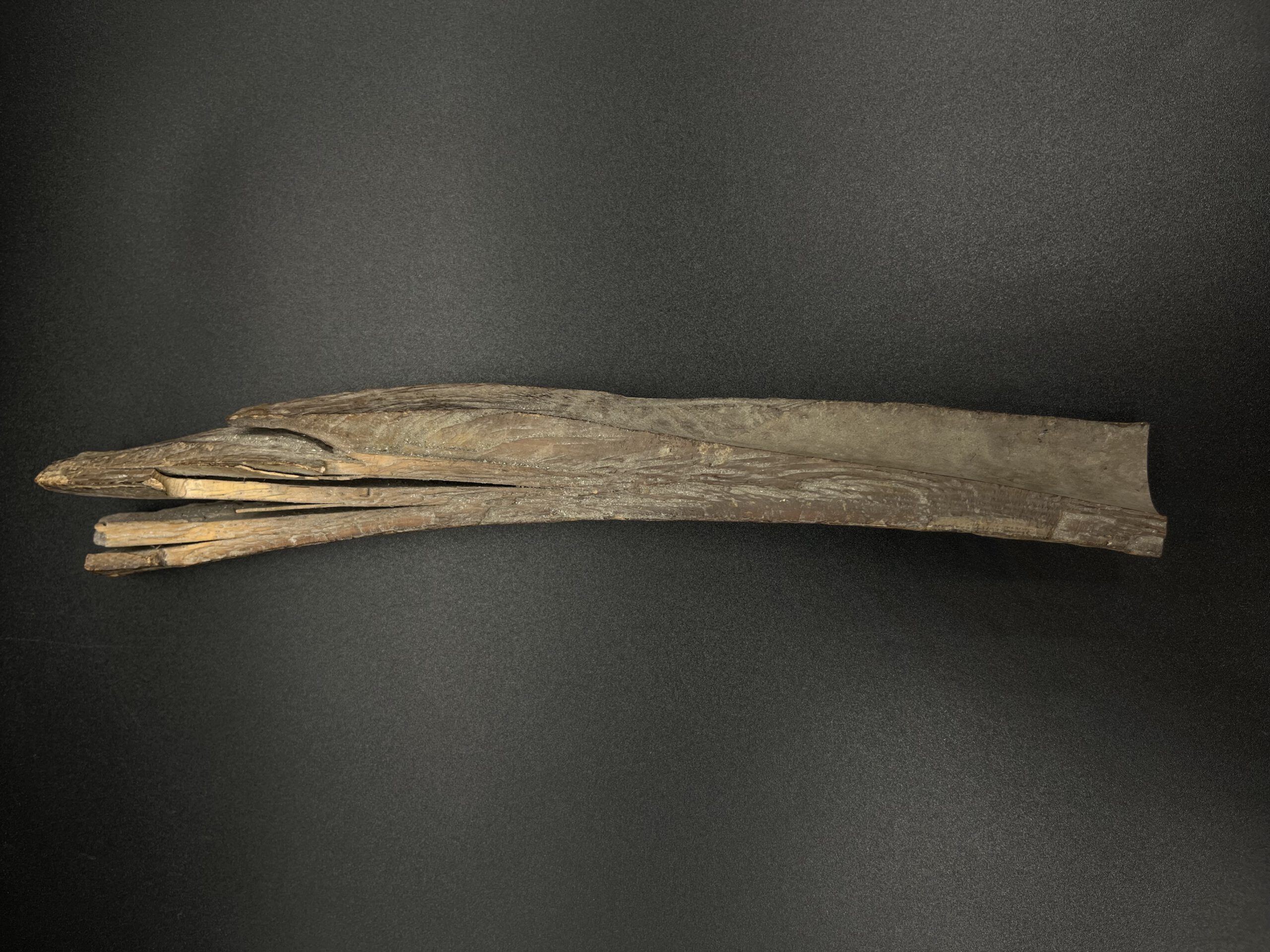 Mammutelfenbein Rohling