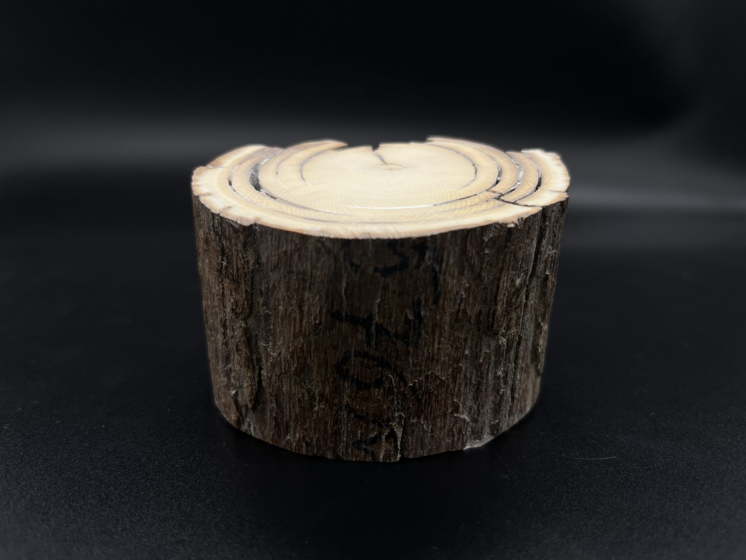 Mammutelfenbein Rohling