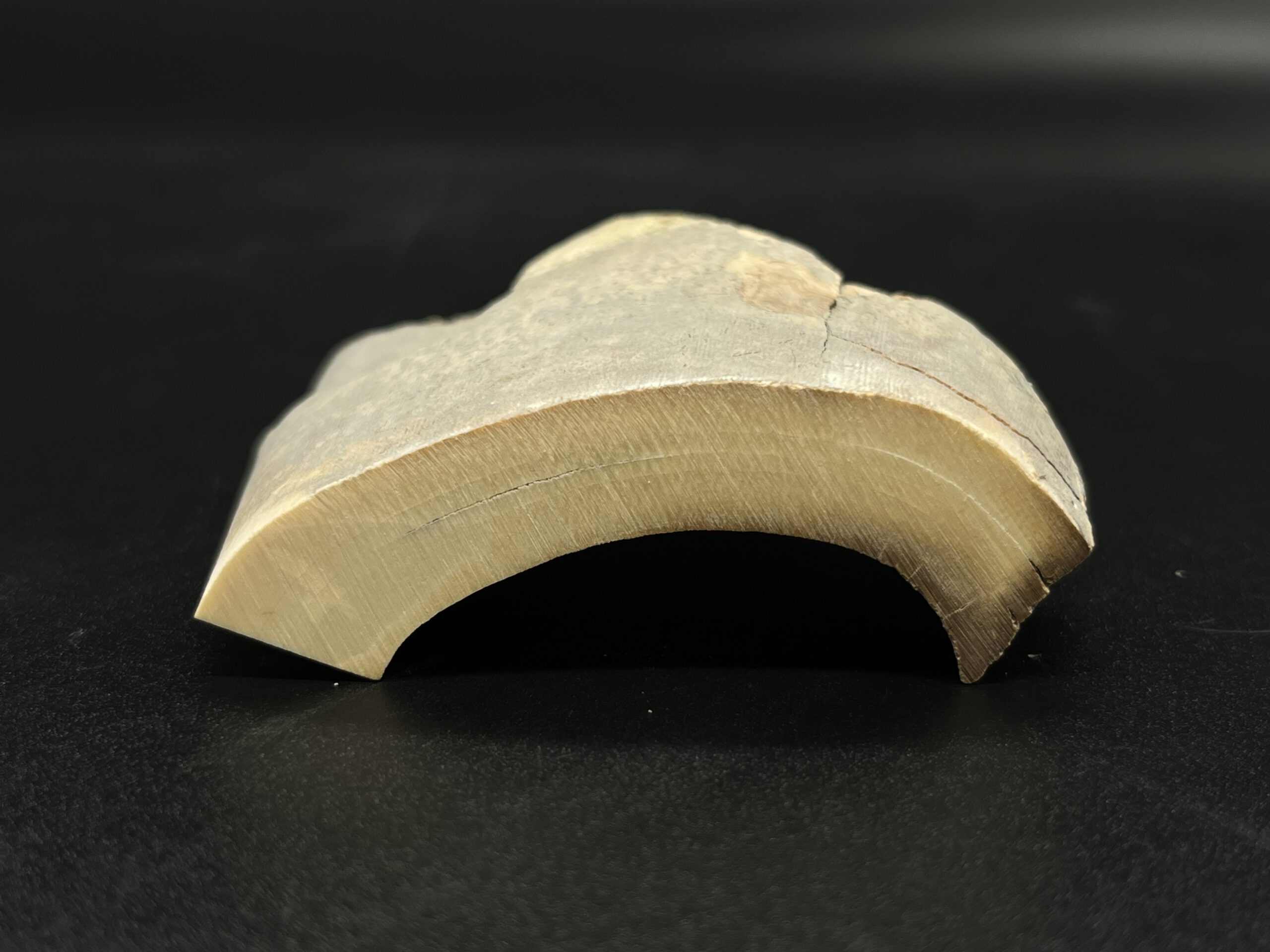 Mammutelfenbein Rohling