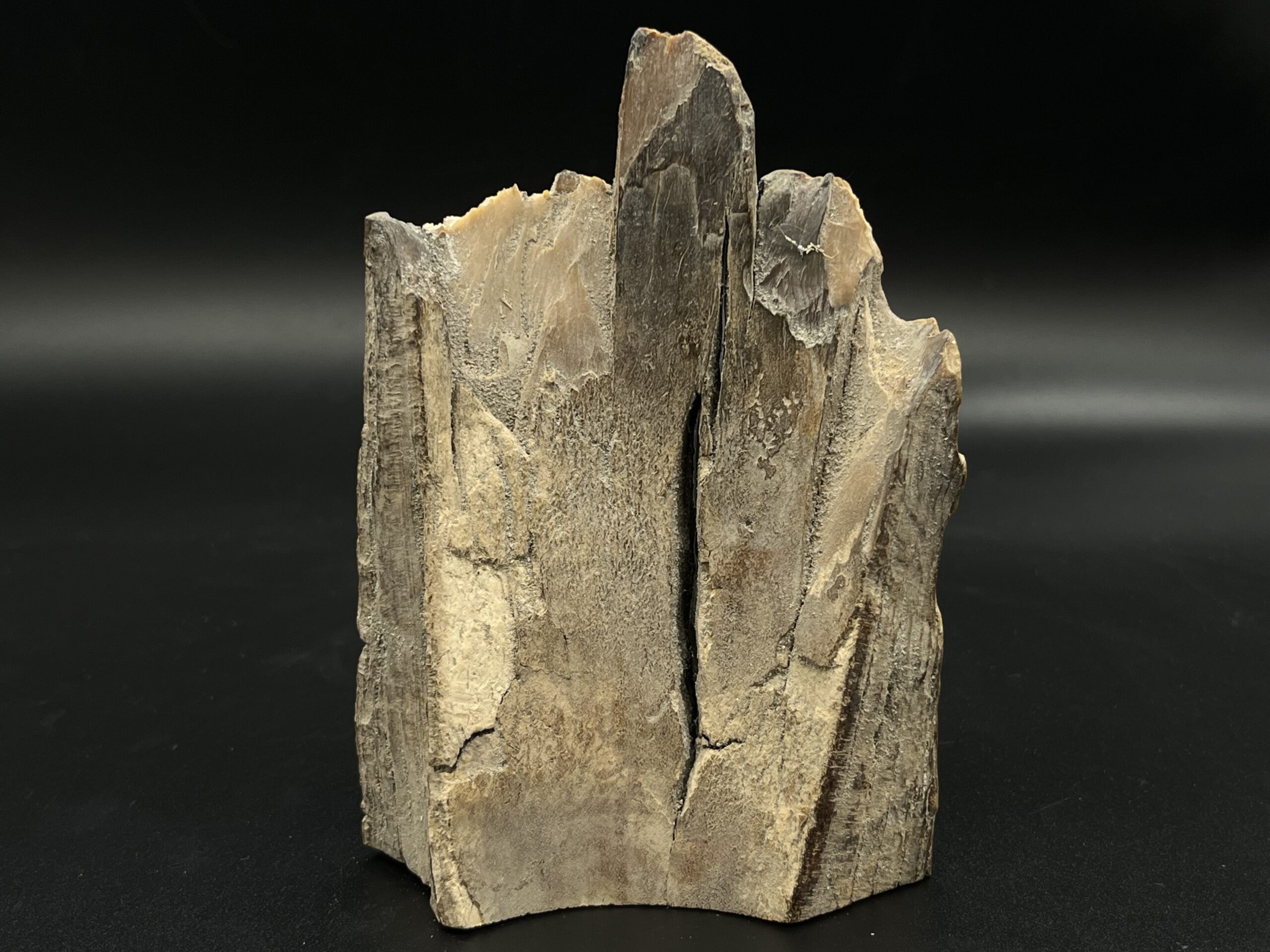 Mammutelfenbein Rohling