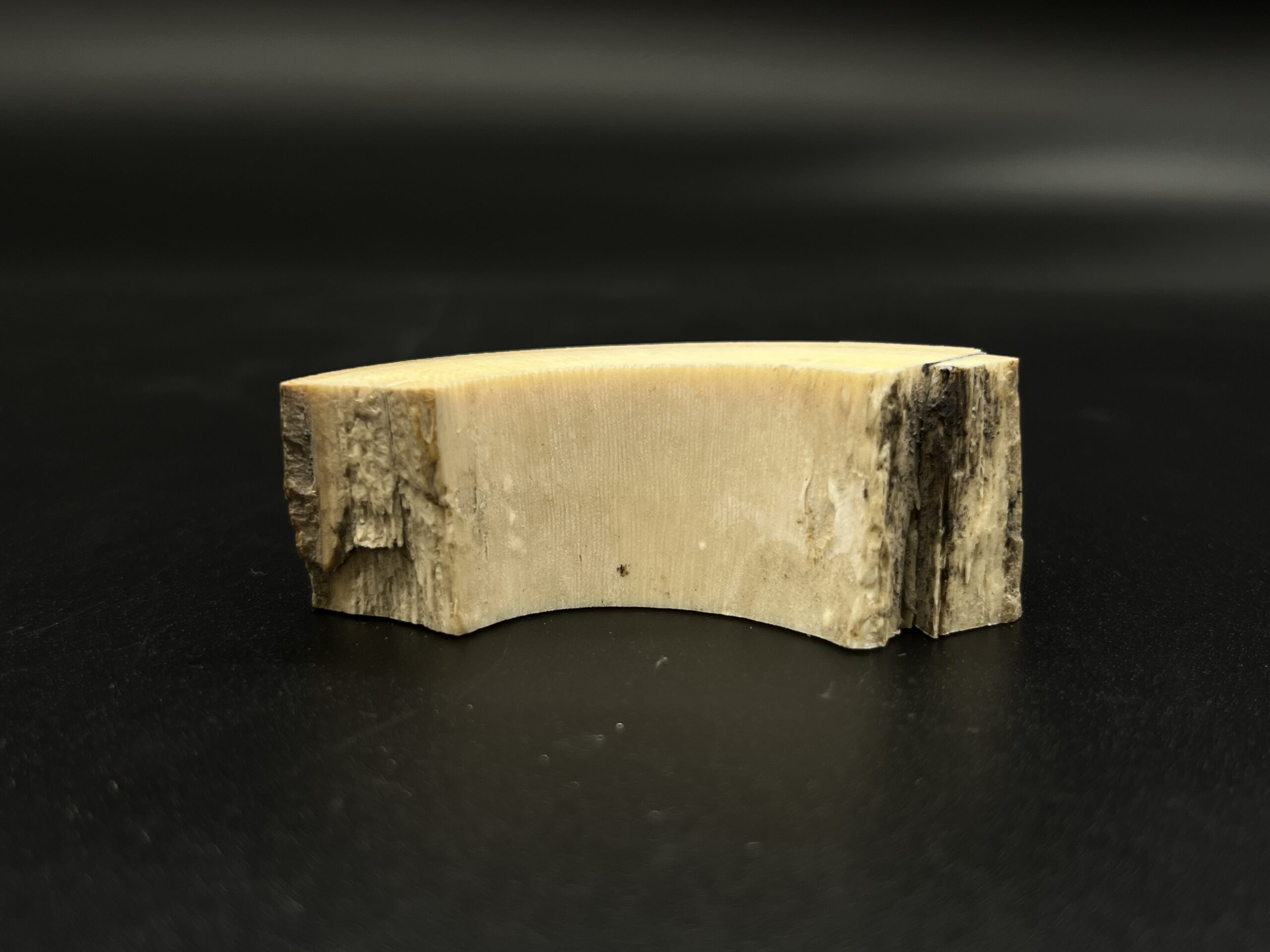 Mammutelfenbein Rohling