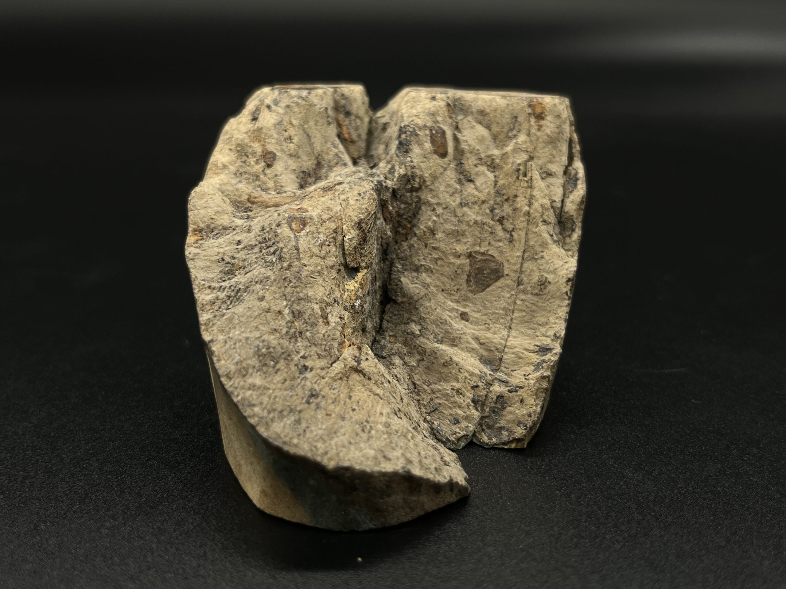 Mammutelfenbein Rohling