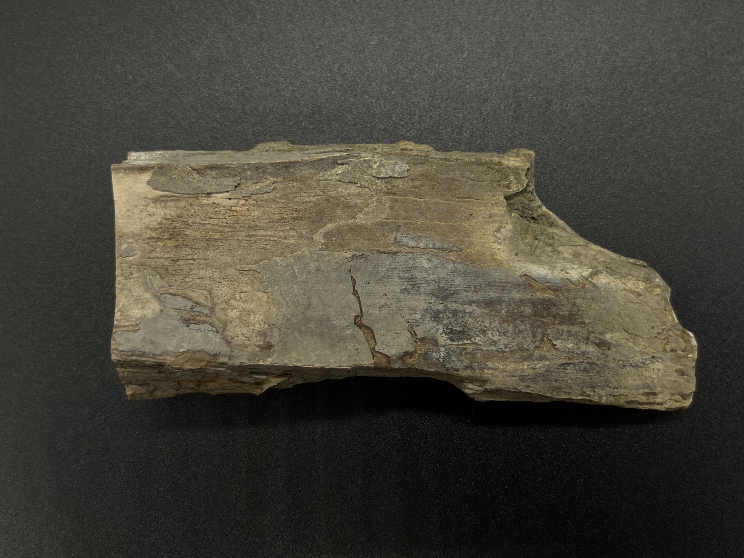 Mammutelfenbein Rohling