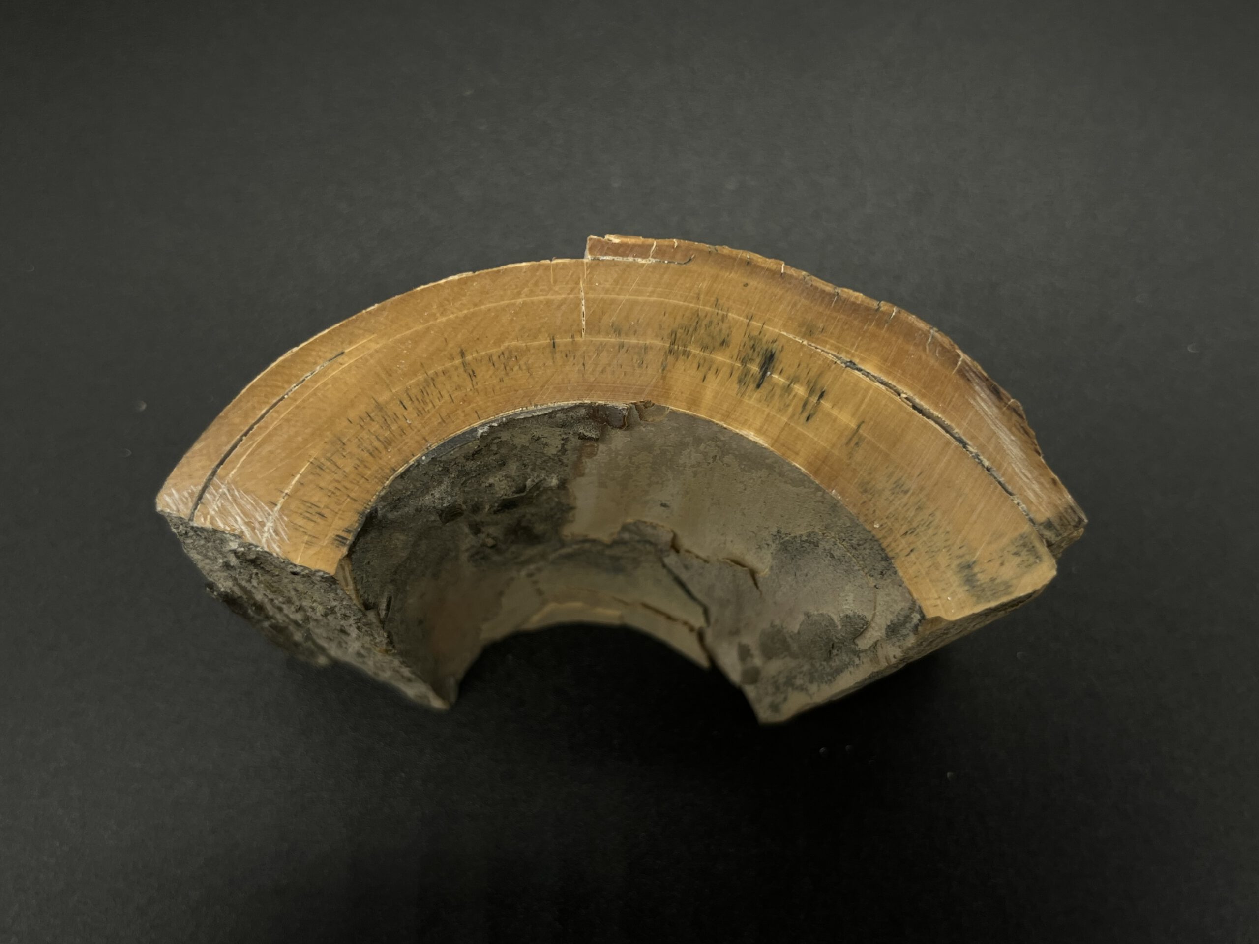 Mammutelfenbein Rohling