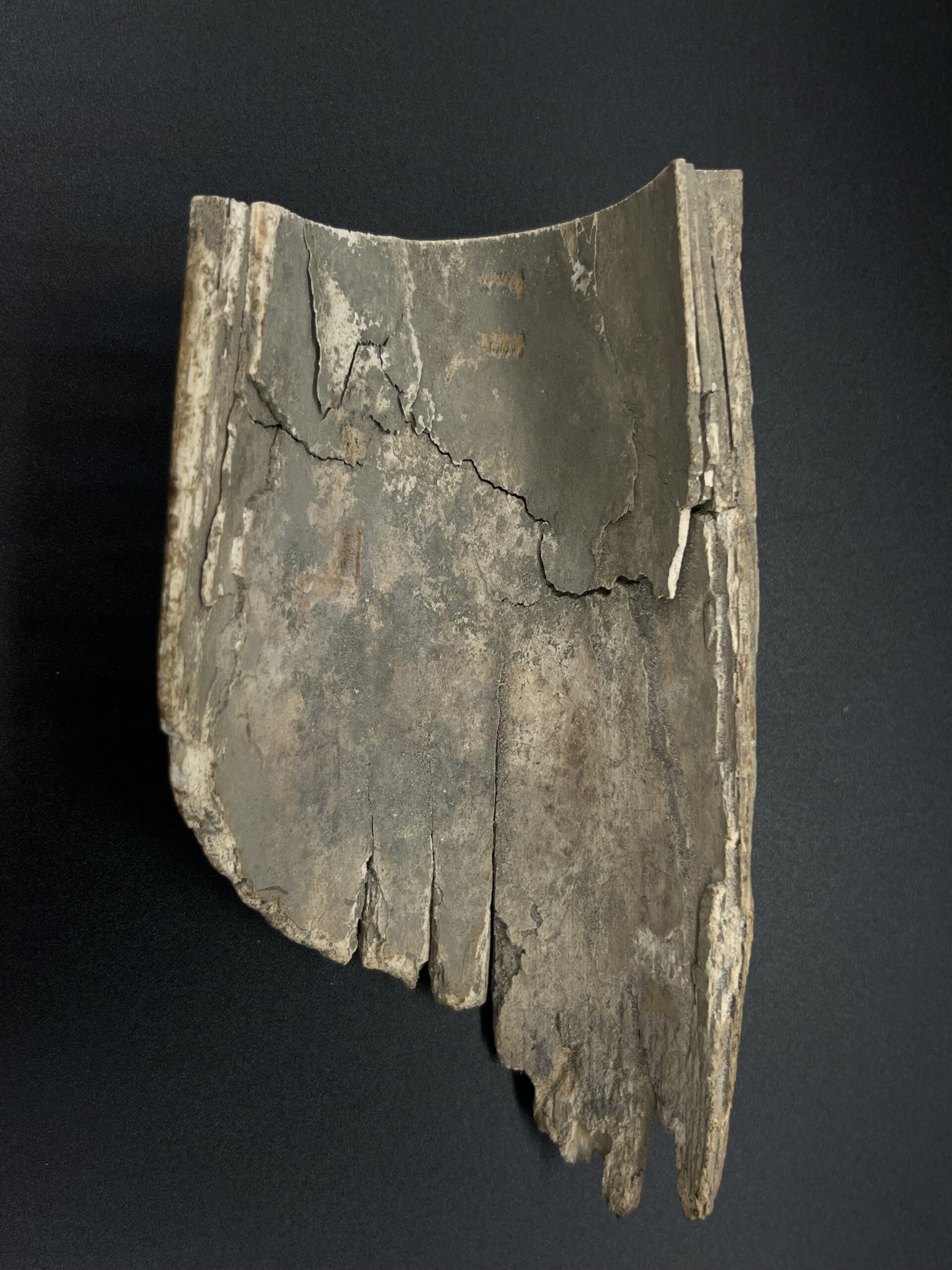 Mammutelfenbein Rohling