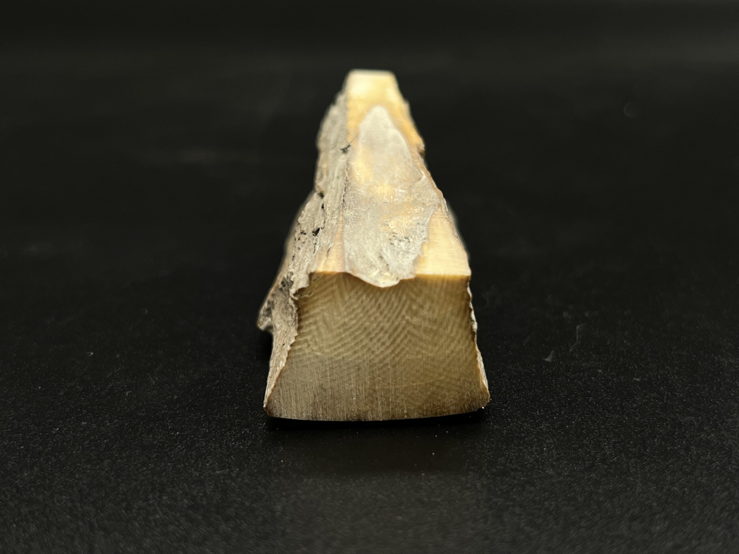 Mammutelfenbein Rohling