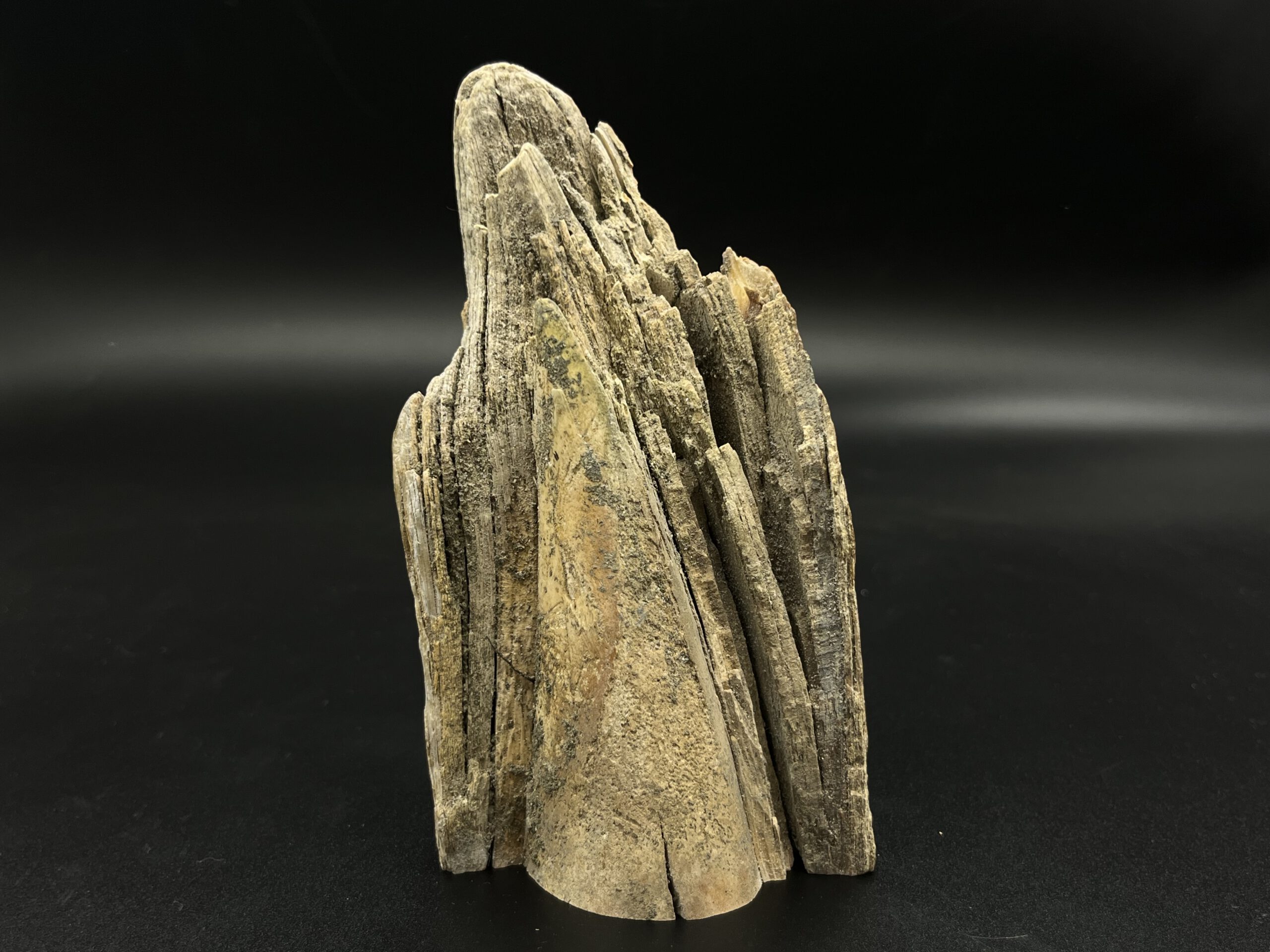 Mammutelfenbein Rohling