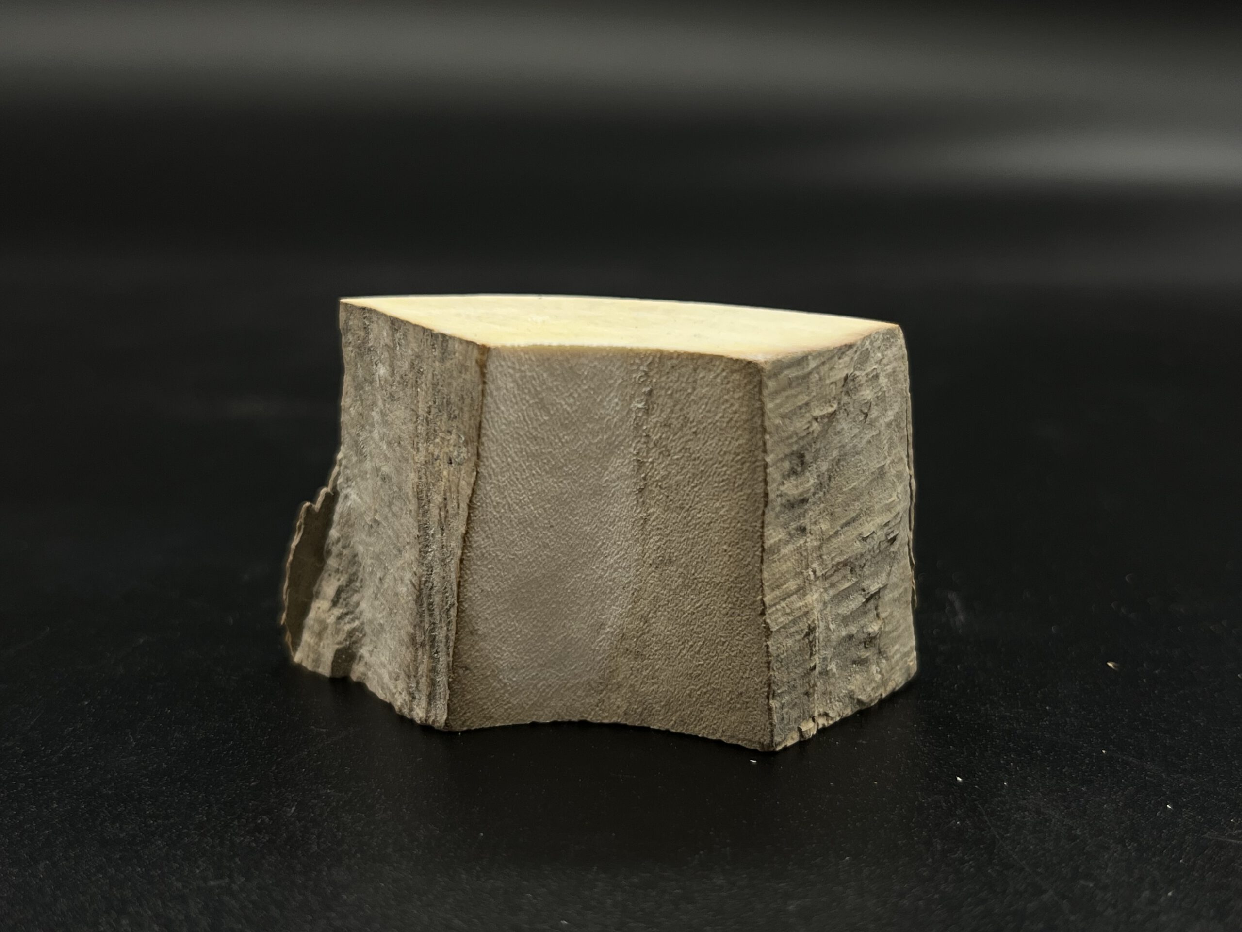 Mammutelfenbein Rohling