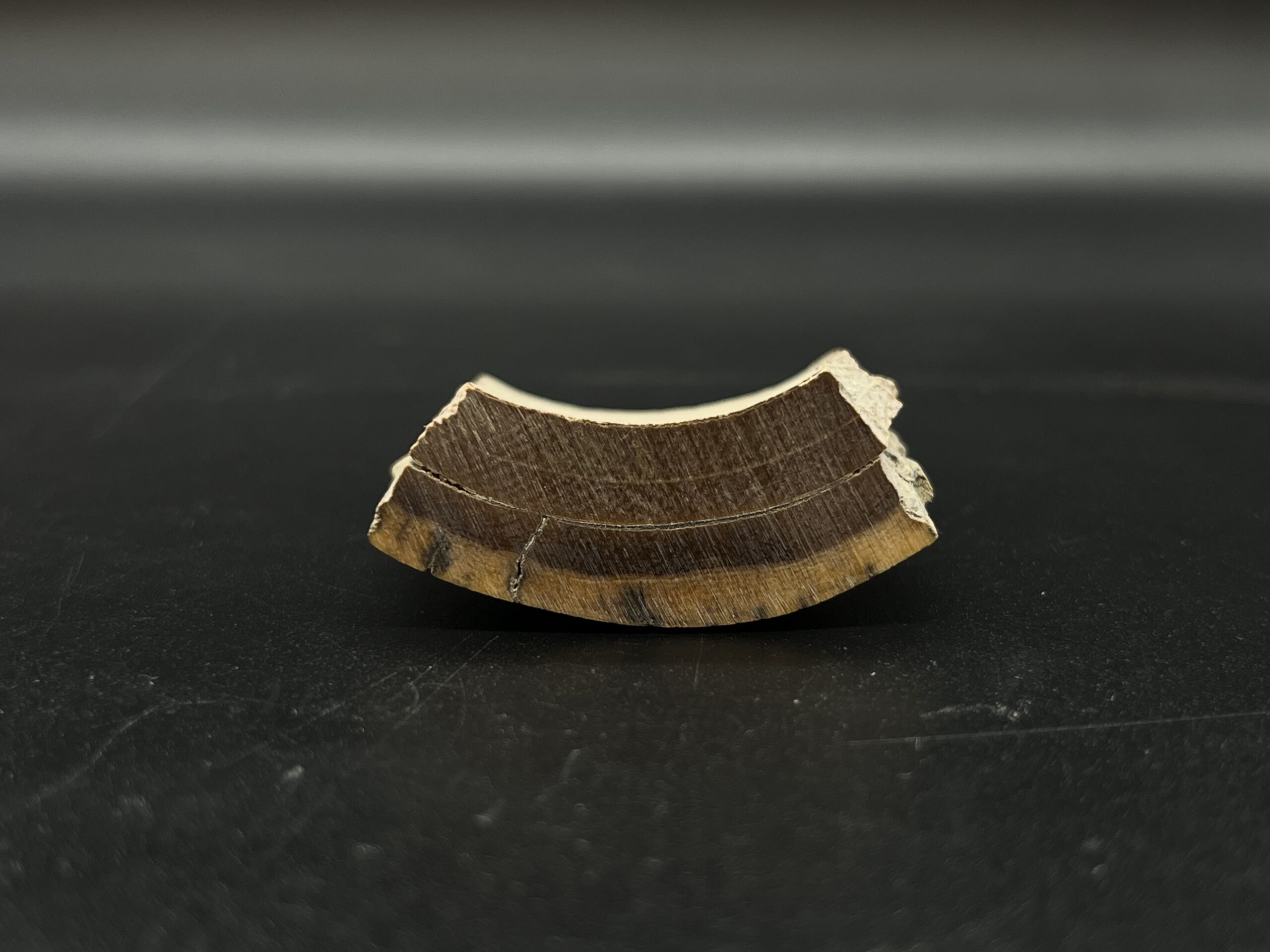 Mammutelfenbein Rohling