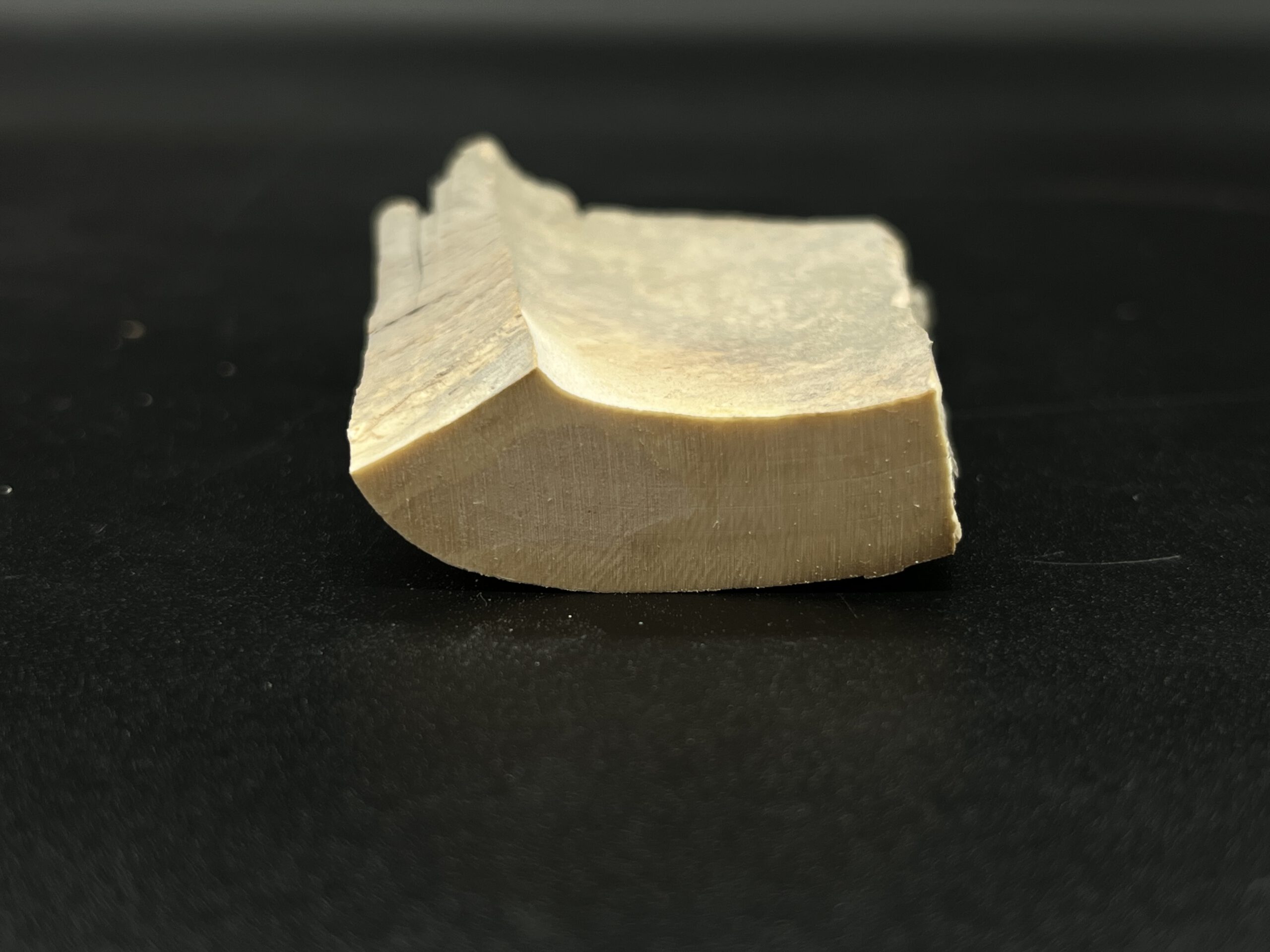 Mammutelfenbein Rohling