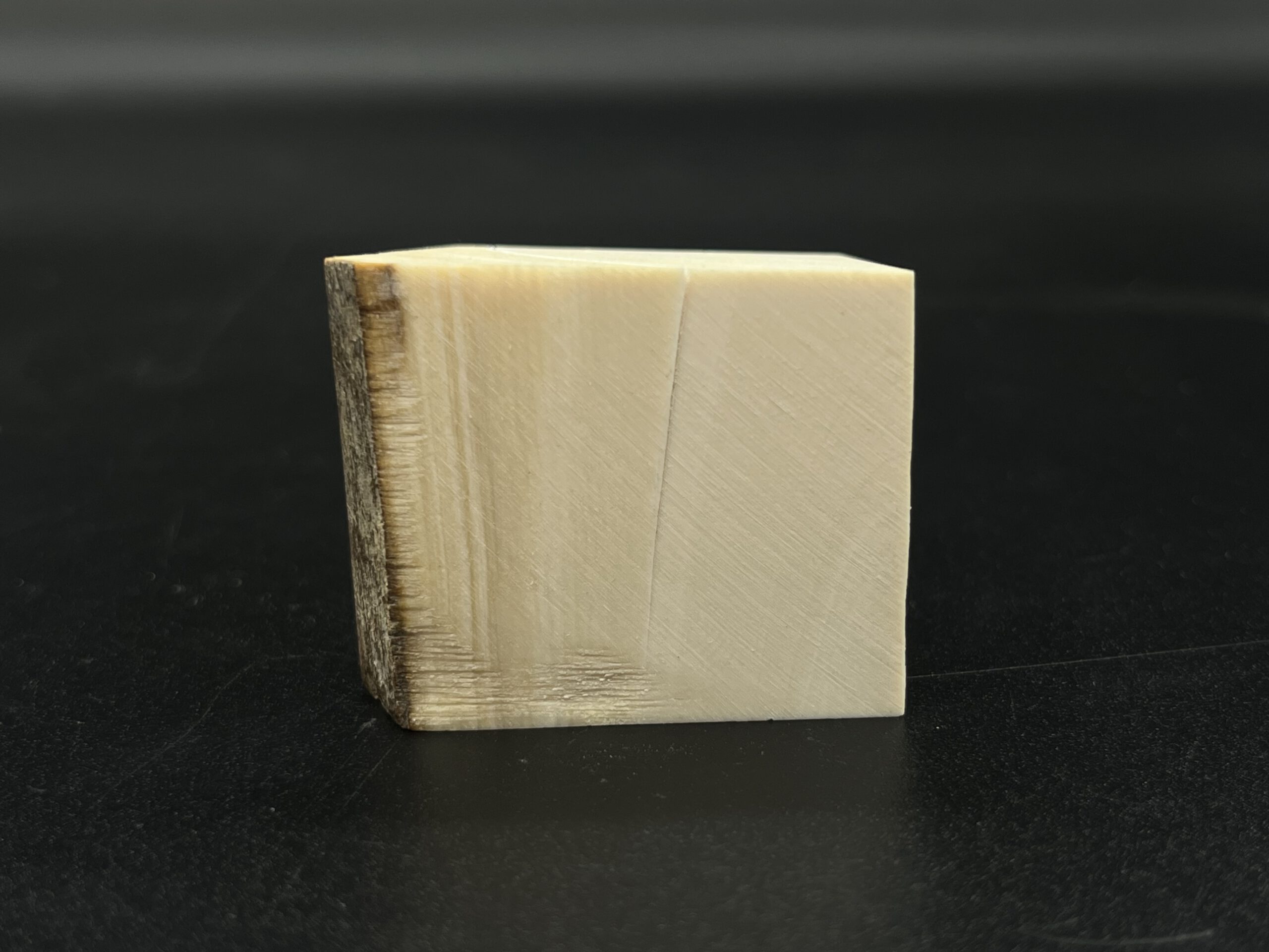 Mammutelfenbein Rohling