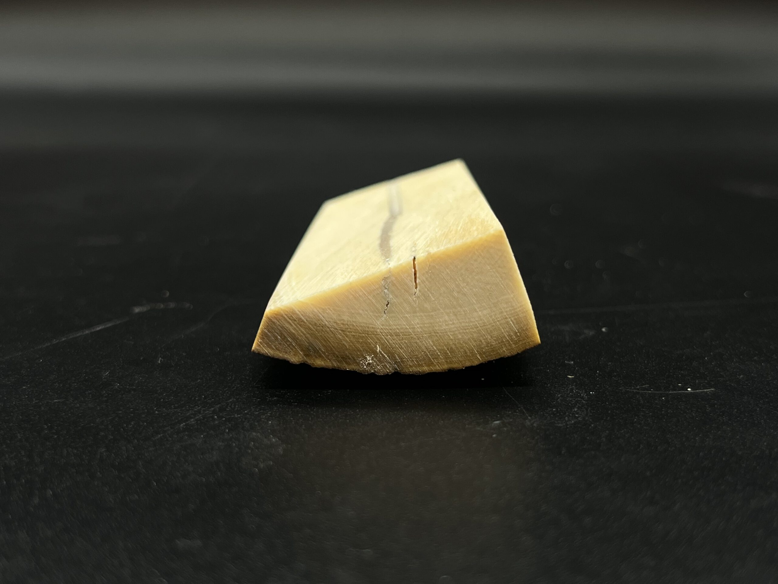 Mammutelfenbein Rohling
