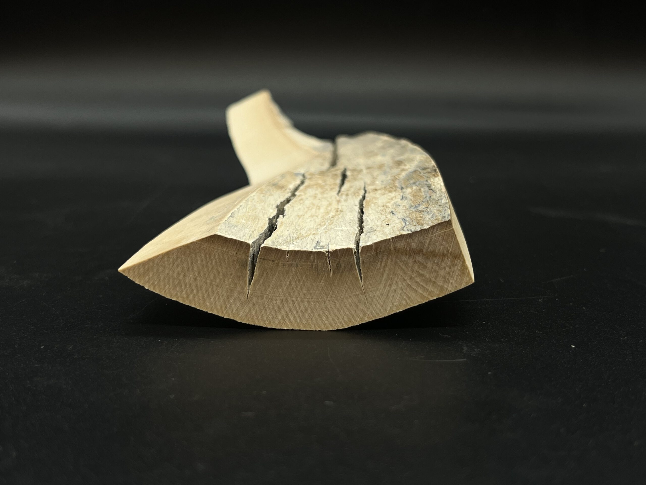 Mammutelfenbein Rohling