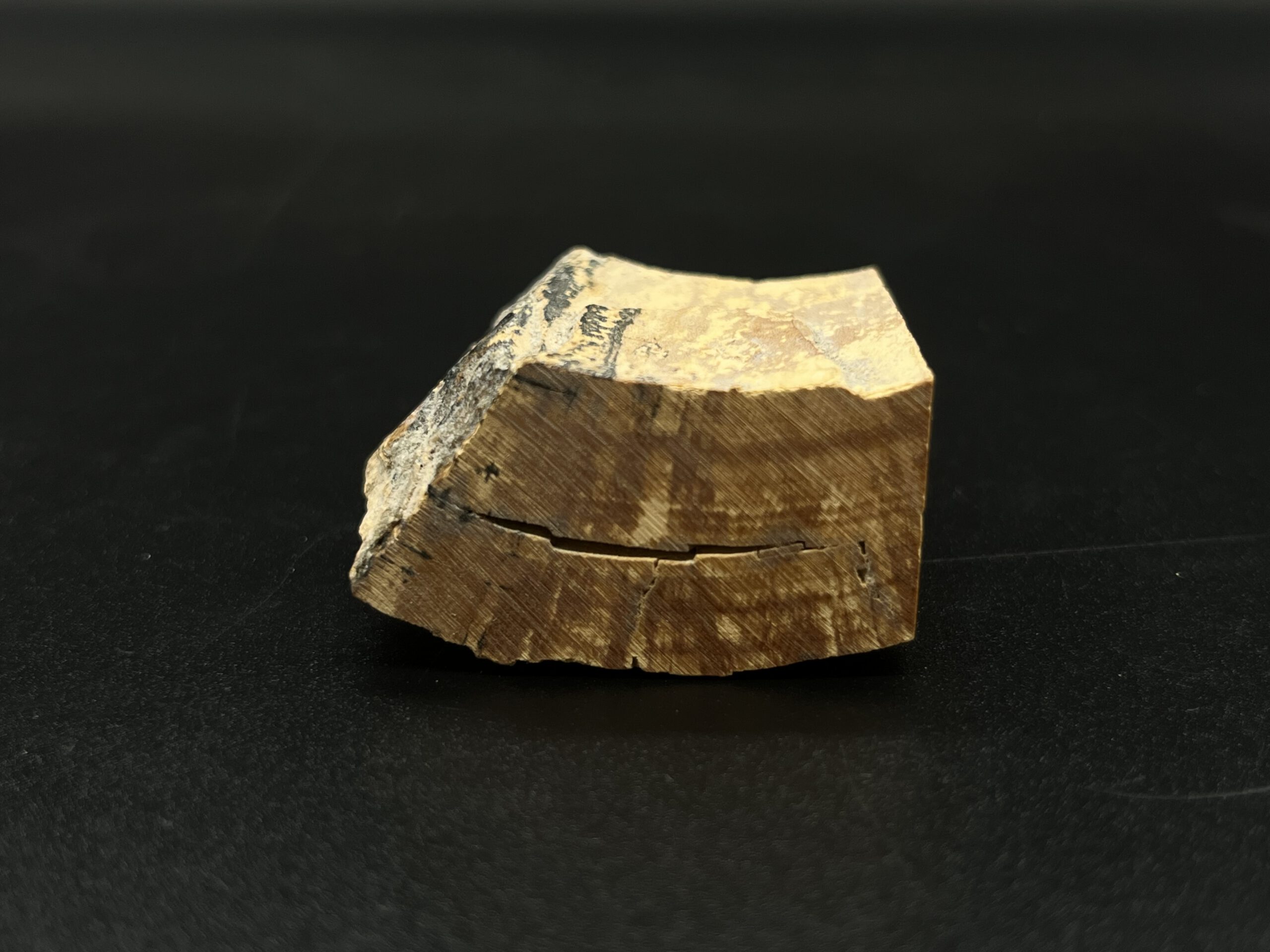 Mammutelfenbein Rohling
