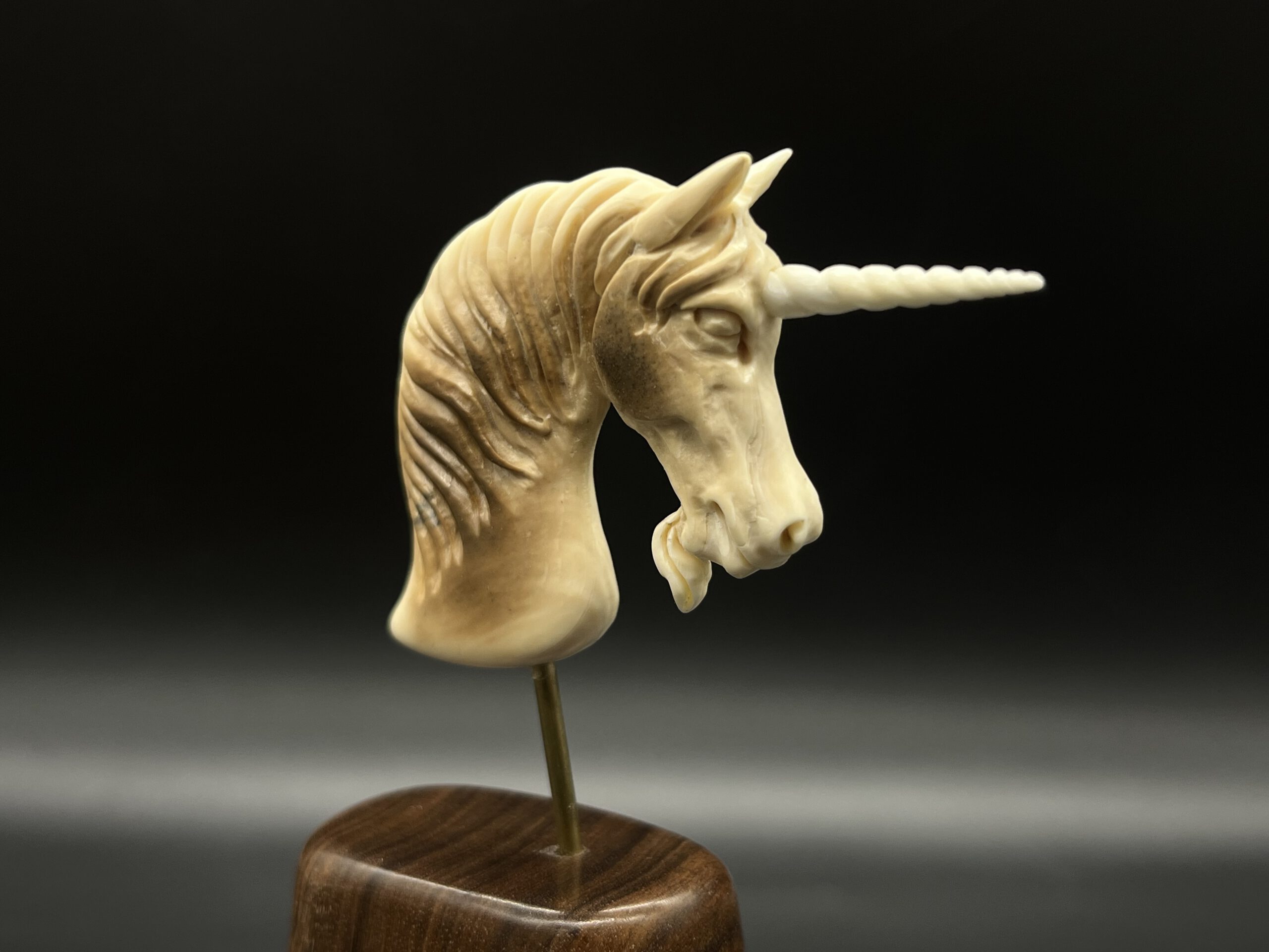 Einhorn